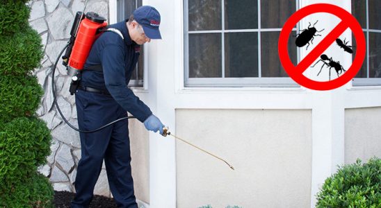 Kavaklıdere Böcek ve Haşere İlaçlama böcek ilaçlama ve haşere kontrolü — ilaclama-tr.com